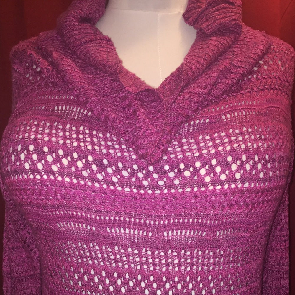 Cranberry sweater